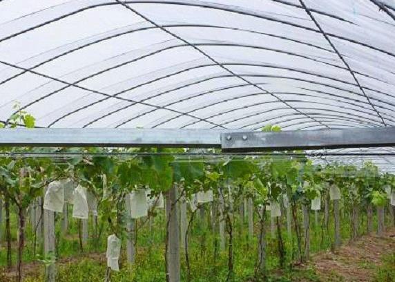 Nonwoven Ground Weed Control Fabric Fruit Cover Bag Biodegradable 100% Polypropylene