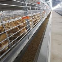 Battery Broiler Chicken Cage For Chicken Farm