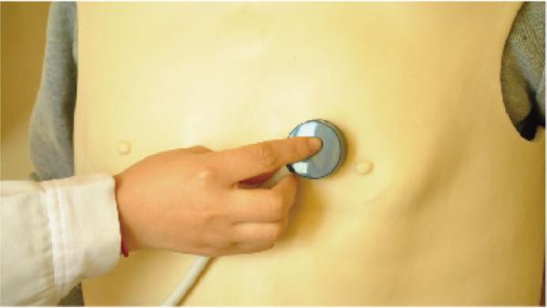 Vest Type with Cardiopulmonary Auscultation Palpation Simulator Practising Model