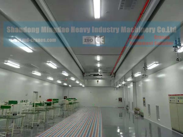 2018 Hot Sale Clean Room Overhead Crane / Clean Room Hoist China Made