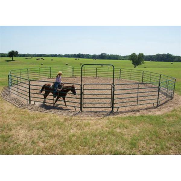 Powder Coated Horse Yard Panels Pre Hot Dipped Galvanized Steel Pipe Material