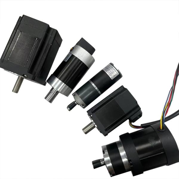 Высокий крутящий момент 12v 24v 36v 48v Micro Pm Electric Dc Brushed Brushless Motor Спецификация таблицы данных Китайская фабрика