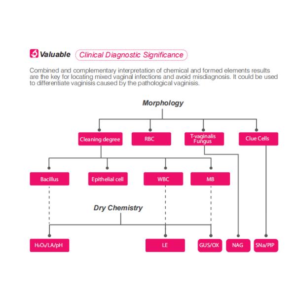 Анализатор секретирования систематических медицинских служб Gynecology реагентов гинекологический
