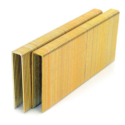 Coroa resistente amarela Staples N17 galvanizado 38mm Senco N de 16 calibres