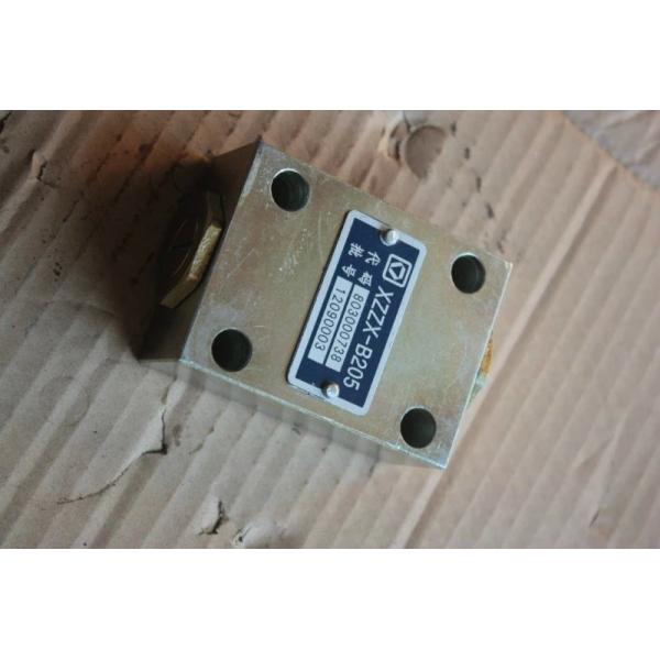 High quality two-way hydraulic lock for XCMG truck crane QY16D,XCMG truck crane spare parts