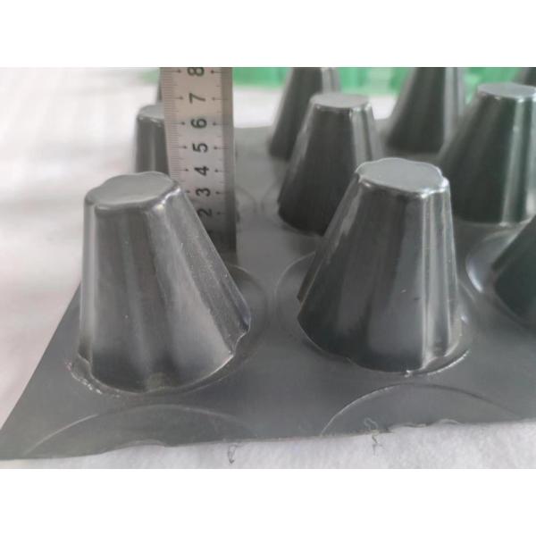 ГПВП зеленая крыша дренажная мембрана 12 мм толщина 2 м водно-непроницаемая и хранилищная доска