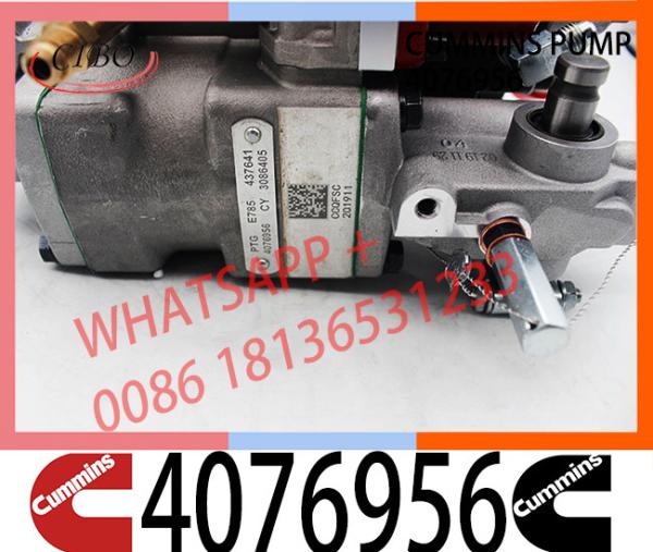 Neutral K19 KTA19 Diesel Engine Part 4076956 3074666 PT Fuel Pump View