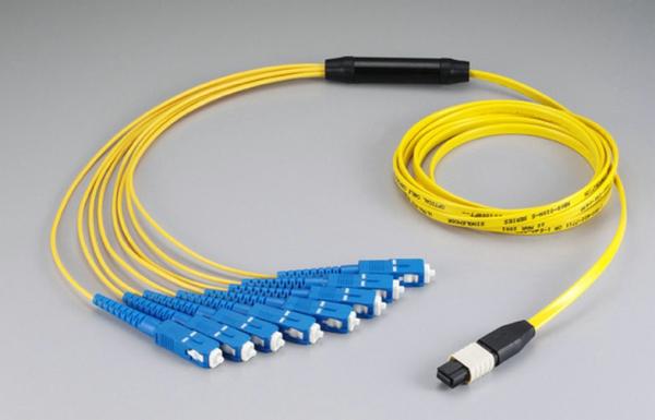 Fan Out Fiber Cable Assembly 12C/24C MPO-SC Low Loss MTP Male Connector 1310/1550nm