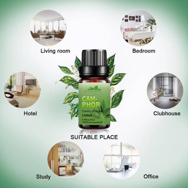 30ml Body Essential Oils Perfume FDA Camphor Essential Oil Aromatherapy