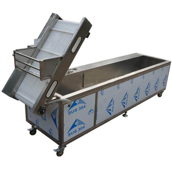 800kg/h Vegetable Bubble Washing Machine , 3.2m Industrial Fruit Washing Machine