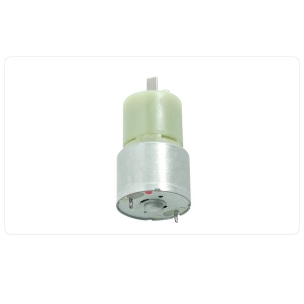 22mm Motor Planetary Gearbox Coreless Micro Gears Metal Brushed DC Gear Motor for Curling Tools