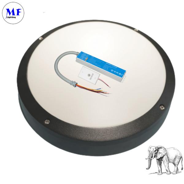 IP40 15W Panic Light Ballast UL Listed LED Emergency Driver For Ceiling Light