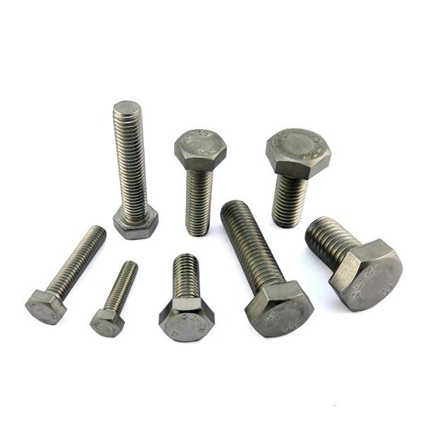 Alta resistencia métrica M6 de cabeza hexagonal perno de acero inoxidable 316 personalizado