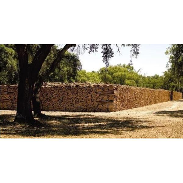 Bag Shoes Biodegradable 1.2mm 52/53