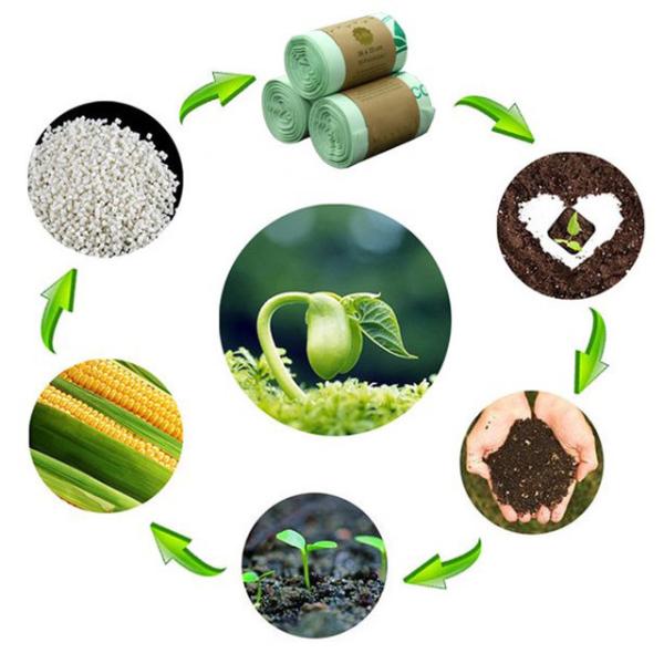 Fabrique 100% biodégradable écologique durable en gros Amidon de maïs personnalisé Sacs à ordures compostables acceptent personnaliser