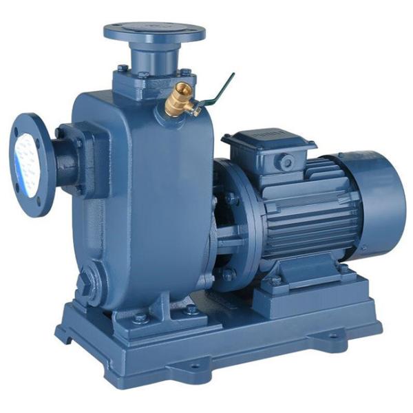 Electric Stainless Steel Sewage Pump , Pipeline Sewage Submersible Water Pump