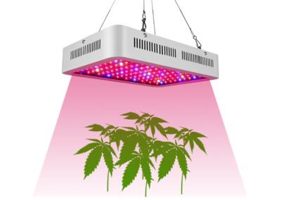 1000 Watt Full Spectrum LED Grow Lights For Indoor Hydroponics Plants