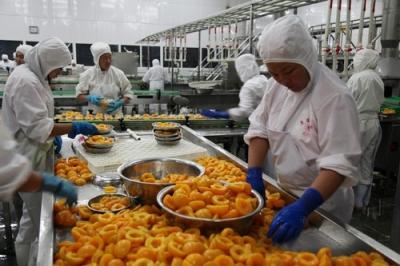 High Efficiency Fruit Canning Equipment Canned Peach Production Line