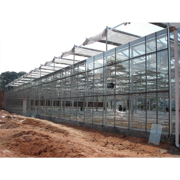 Customizable Multi Span Greenhouse With Side Vent And Roof Height 3.73M