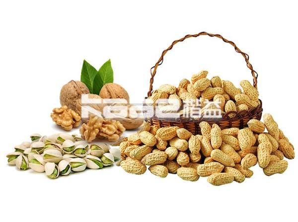 Conveyor dryers & Roasters & Coolers for food processing and drying with food grade material