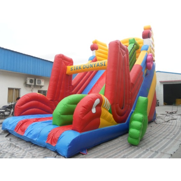 Customized PVC Inflatable Large Slide for Kids Inflatable Screamer Water Slide Inflatable Water Slide for Kids and Adults