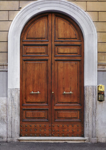 steel wood security armored door