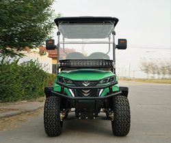 Affordable Electric Car Golf Cart with 120Ah Lead Acid Battery and Front LED Headlight