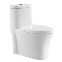carte 1000G de bidet de toilette bordée par une seule pièce de soupape de vidange de siphon d'aide de pression