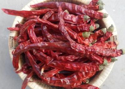 Guizhou Mantianxing Millet Pepper Dry Chili Hot Pot Seasoning Raw Material Spices
