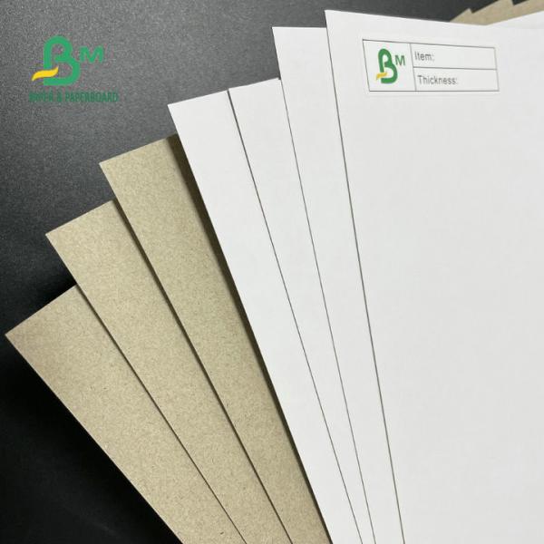42 Inch Coated Duplex Board Grey Back 350GSM 400GSM 450GSM For Packaging Boxes