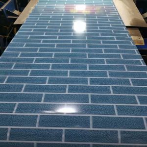 цвет покрытия Z275 краски фронта 15-20um покрыл катушку PPGI стальную для трубы и мебели дренажа