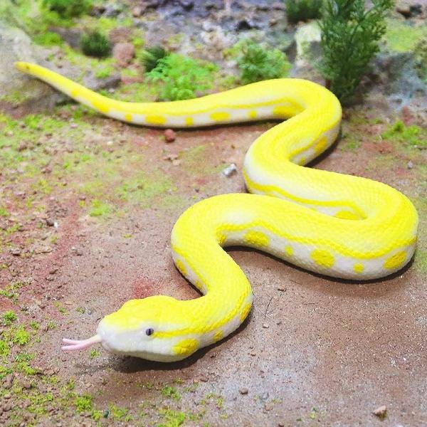 Realistic Snakes Toy Python Action Model for Unisex Ages 8-13 Halloween Prank Props