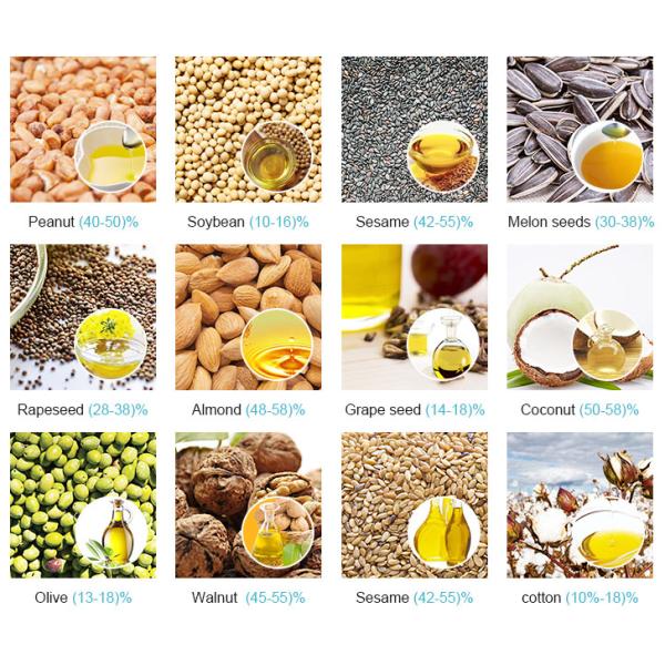 Машина прессы гидравлического масла для орехового масла 16kg/серии макадамии