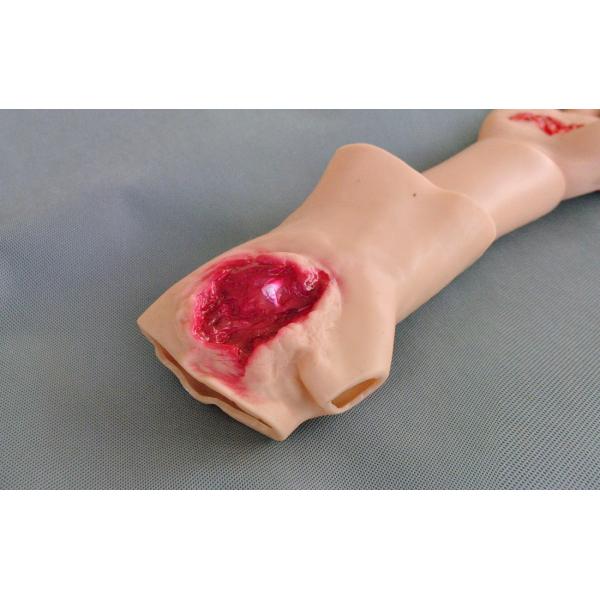 Purple Horn Medical Training Models / First Aid Manikins Trauma Accessories Module
