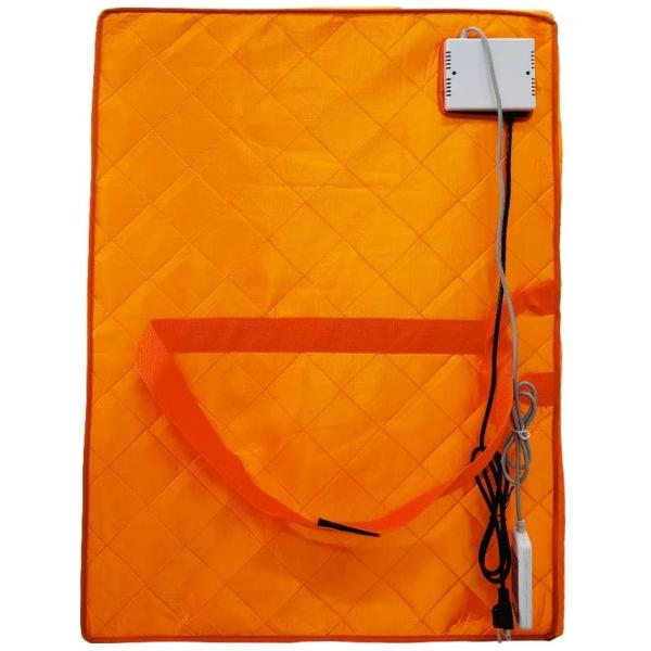 One Person Home Detox Therapy Modern Portable Far Infrared Sauna Enhanced Chair Spa Floor Pad