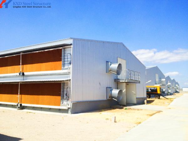 Automatic Steel Structure Poultry Farm Shed for Broiler Chicken Housing