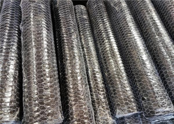 Breed Or Plant Protection Hot Dipped Galvanised Hexagonal Netting