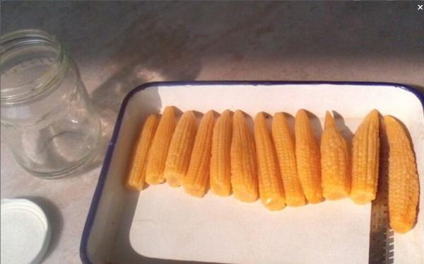 baby corn in jars
