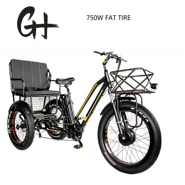 Bafang 750W Motor Electric Tricycle with Fat Tire E Three Wheels and Passenger Seat