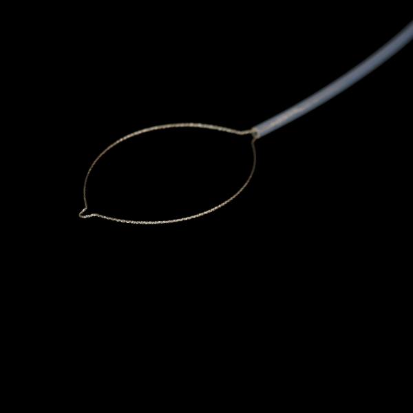 Produtos esterilizados aprovação do equipamento médico do instrumento da cilada de Polypectomy do CE