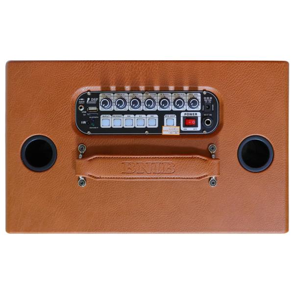 Rechargeable Portable Karaoke Speaker With Voice Control Echo Cancellation
