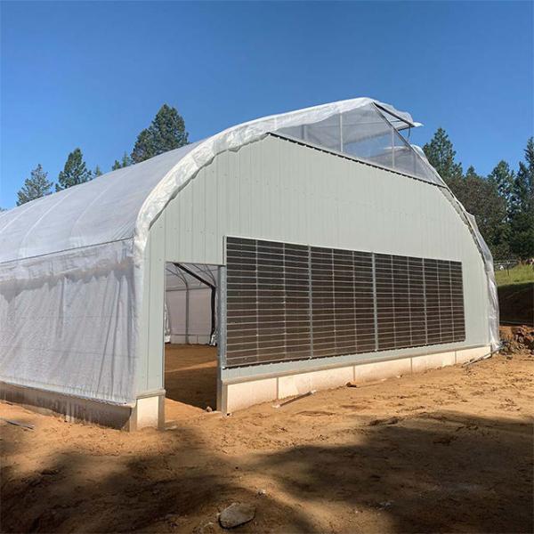 Blackout Mushroom Single-span Tunnel Light Deprivation Greenhouse For Agriculture