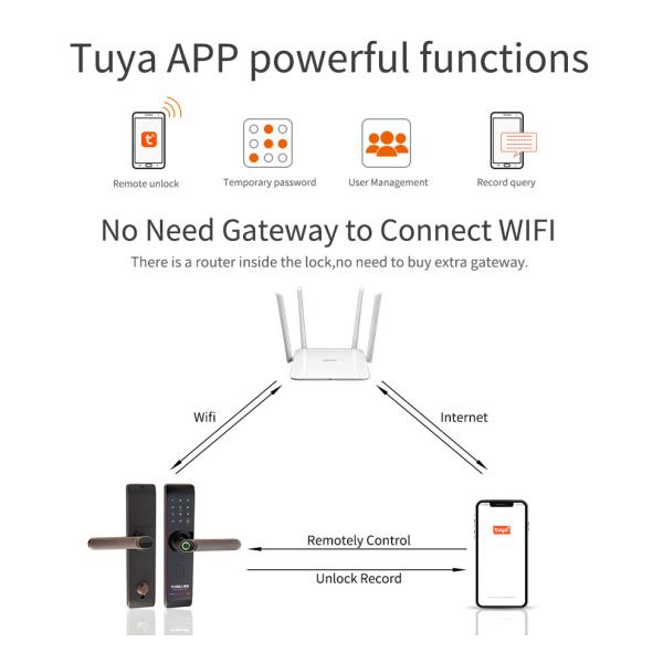 High Quality Hot Selling Fingerprint Indoor Tuya WiFi APP Smart Zinc Alloy TT Lock Door Lock for Apartment House