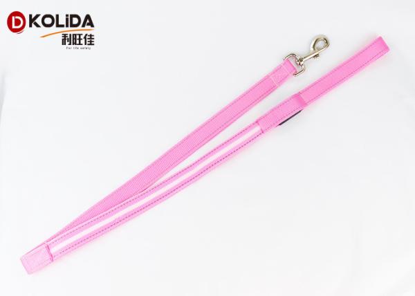 LED Pet Accessories Nylon Solid Safety Glow Dog Leash With Flashlight