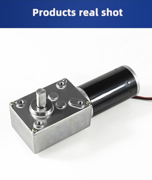 Faradyi Customized Long Life Worm Gear Motor 12v 24v Low Rpm Shaft Geared Electric Brush Brushless DC Motor For Machine Tools