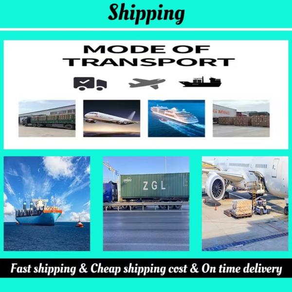 Multicolor PET Open Cat Litter Tray Large Opening Litter Tray