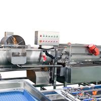 Máquina de lavar alimentos congelados 1000 kg/h