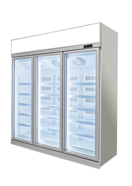 Greenhealth Commercial Display Freezer Vidro Transparente Prata Inverter Freezer Vertical