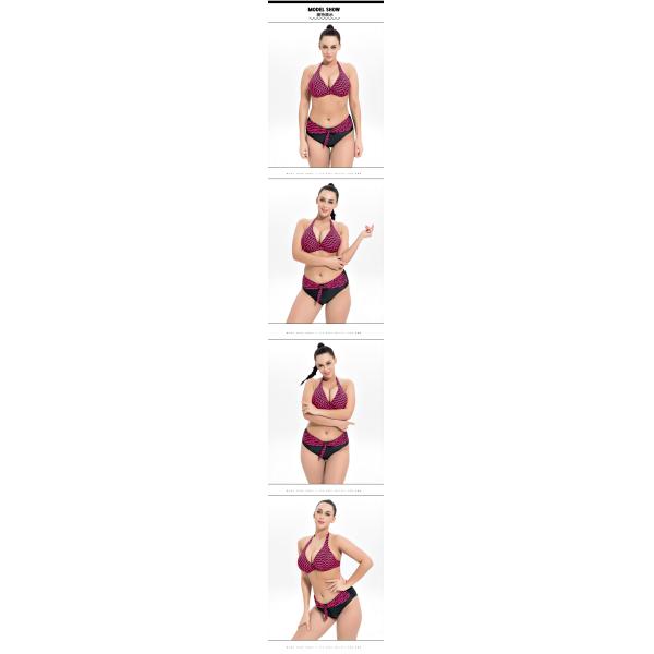 2019 New Plus Size Two piece Swimsuit Strip Print Swimsuit Women Push up 1957