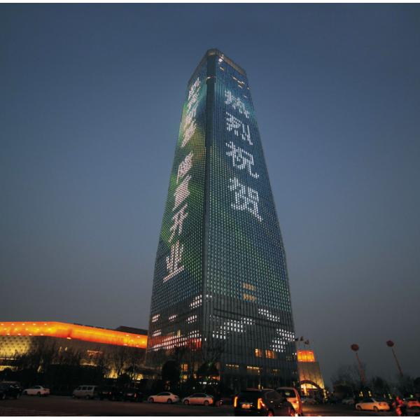 OEM ODM Creative Art Pendant Light For High End Places